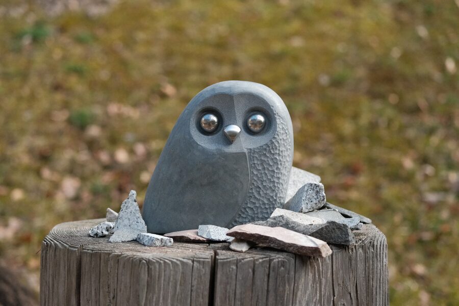 Steineule Leonie aus Dunkler Quarzit